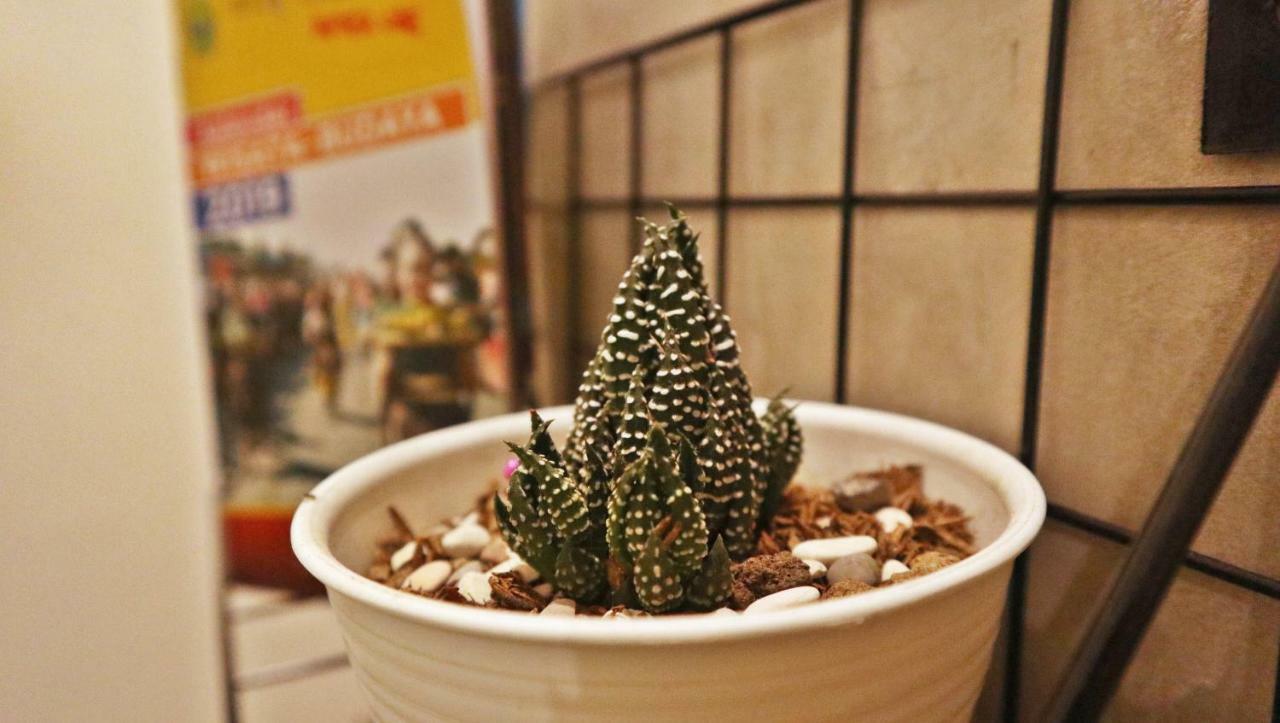 Sante Commune Hostel ジョグジャカルタ エクステリア 写真